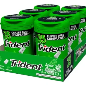 Trident Botella Yerbabuena 46 Grs 6 Unid