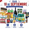 Caja Fiestas Patrias 26 Productos